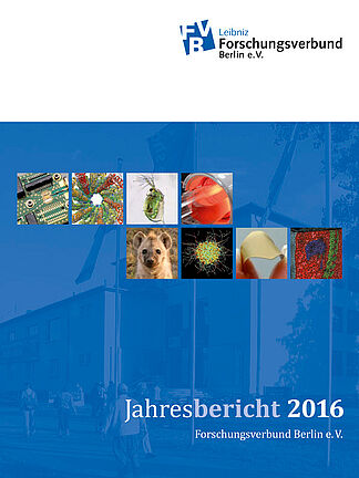 Cover Annual report 2016